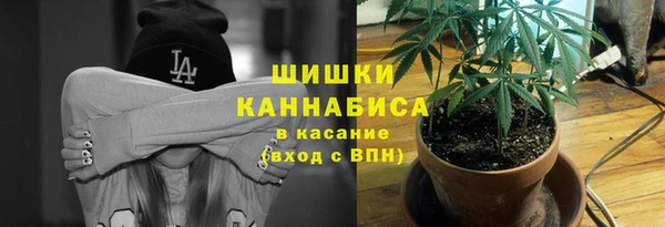 хмурый Волосово